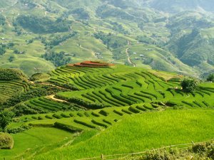 Photo of Entry:  Sapa Overview