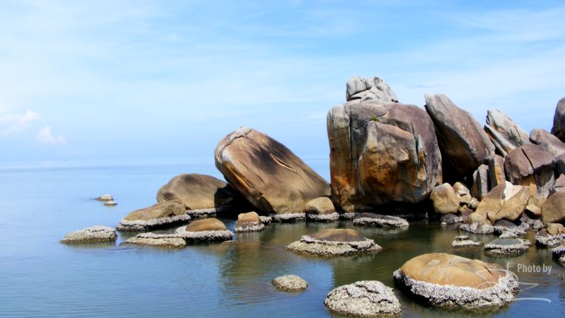 Photo of Entry:  Silver stone island the spot for oysters