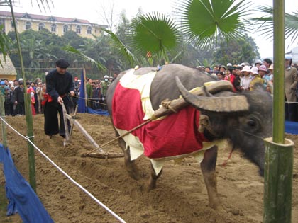 Photo of Entry:  Long Tong (Lồng Tông) festival in Tuyen Quang (Tuyên Quang) province