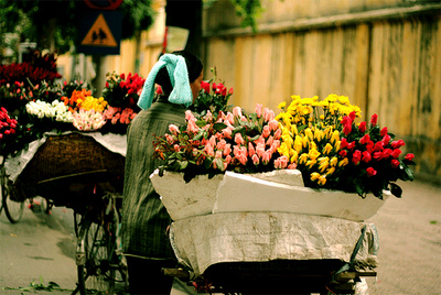 Photo of Entry:  Flowers and Florists, cultural feature of Hanoi