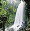 Photos Dambri Waterfall 2 - Dambri Waterfall