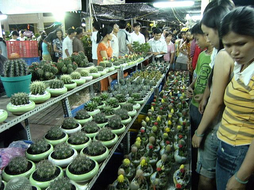 Photos Binh Dinh 51