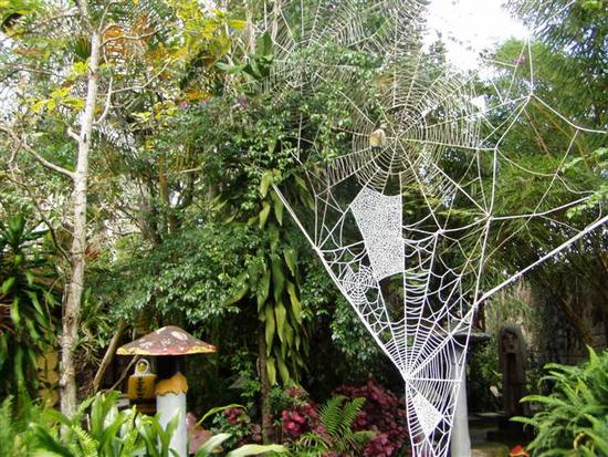 Photos CrazyHouse_Dalat