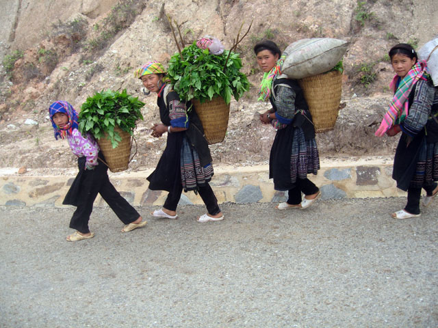 Photos girls at sapa - Sapa