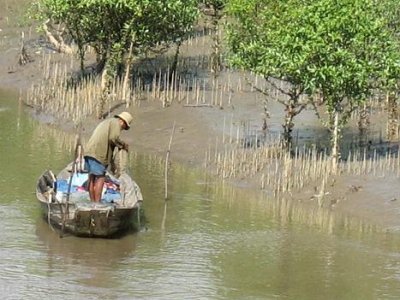 Photos Can Gio Ecological Tourism Site 4