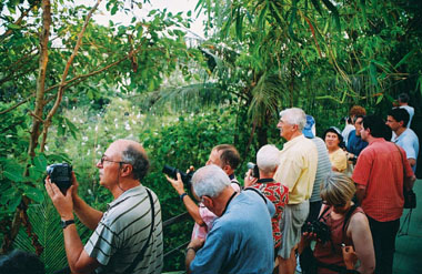 Photos Bang Lang Stork Garden 3