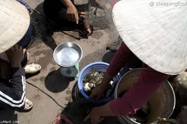 Photos Ham Ninh Fishing Village 3