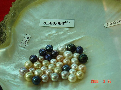 Photos Pearl Farm 4