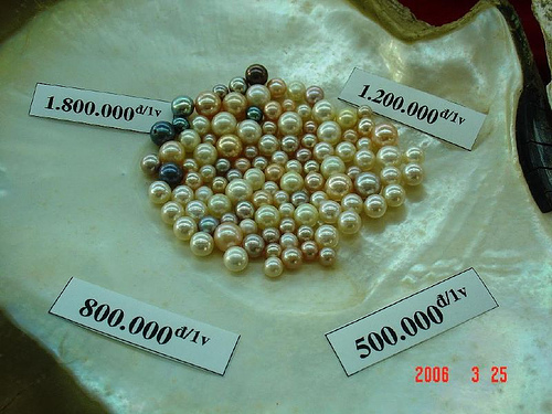 Photos Pearl Farm 2