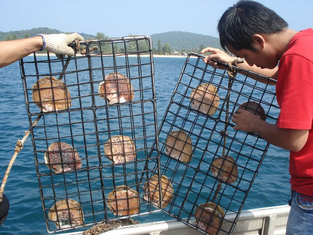 Photos Pearl Farm 5