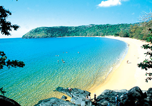 Photo of Entry:  Season to watch sea turtles laying eggs on Con Dao