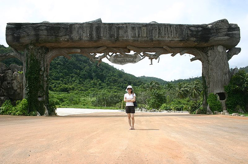 Photos Tranh Stream 4