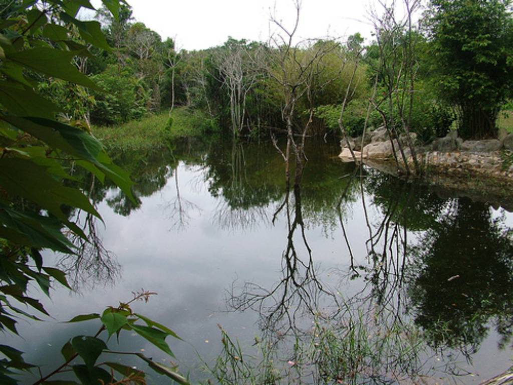 Photos Tranh Stream 3 - Tranh Stream