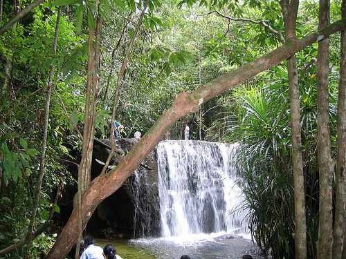 Photos Tranh Stream 2