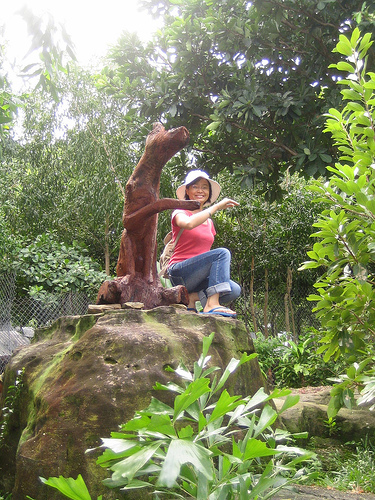 Photos Phu Quoc Dog Farm 4