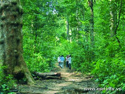 Photos Phu Quoc National Park 5
