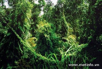 Photos Phu Quoc National Park 4