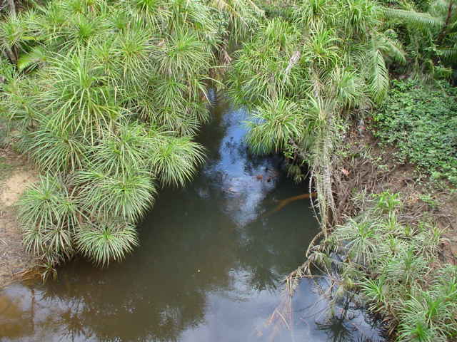Photos Phu Quoc National Park 6