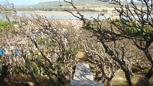 Photos Khe Ga Lighthouse 2