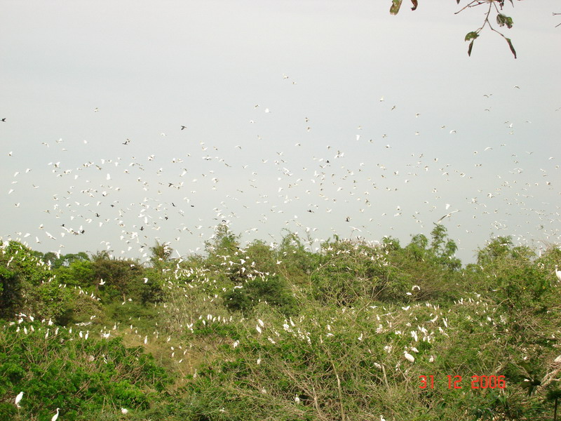 Photos Bang Lang Stork Garden 6