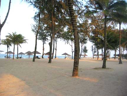 Photos My An Beach 1 - Bac My An Beach