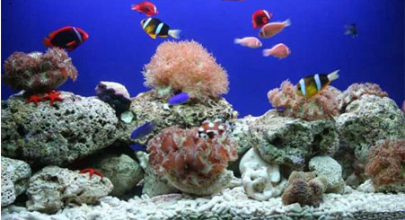 Photos Institute of Oceanography 3