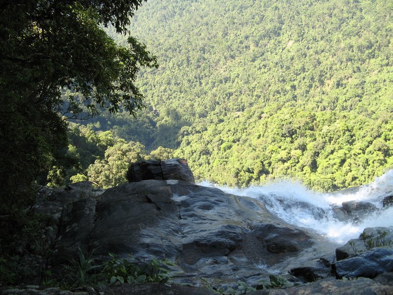 Photos White Horse National Park 4