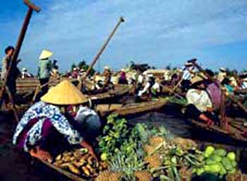 Photos Phong Dien Floating Market 2