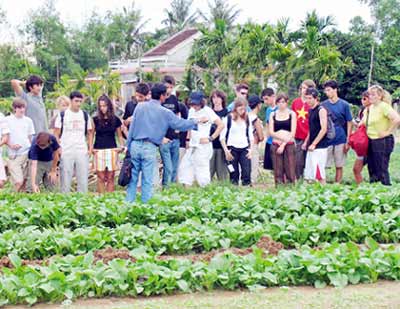 Photos Tra Que Vegetable Village 1