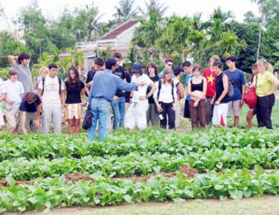 Photos Tra Que Vegetable Village 1 - Tra Que Vegetable Village