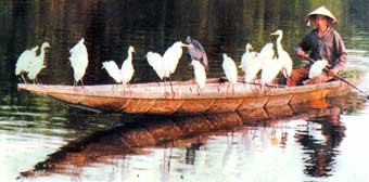 Photos Thu Duc Stork Garden 1