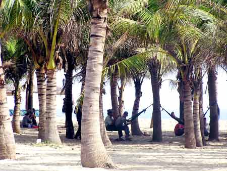 Photos Cua Dai Beach 4