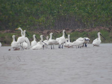 Photo of Entry:  Nam Dinh entices ecotourism
