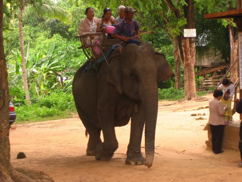 Photos Don Village 6
