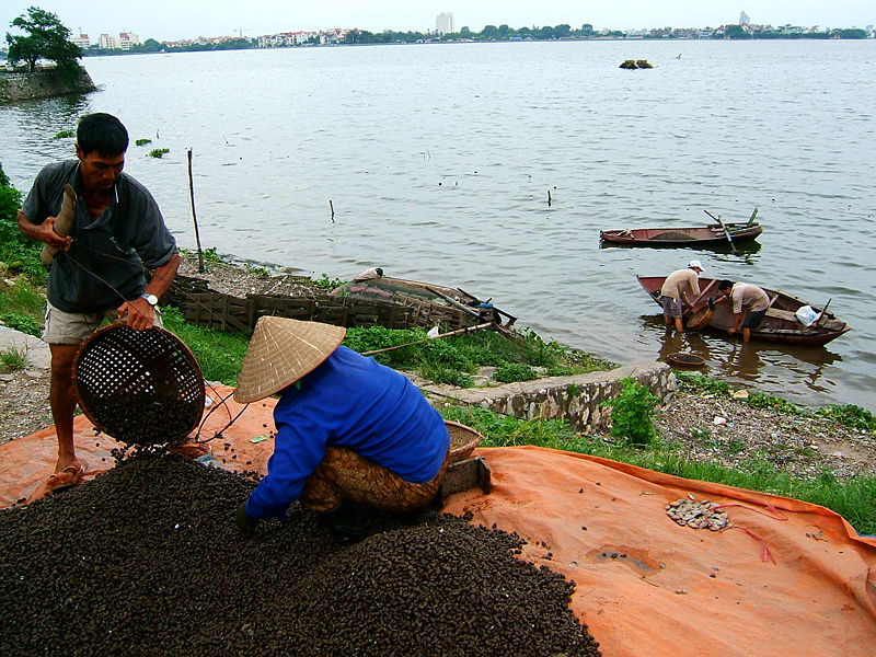 Photos West Lake 6