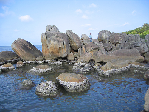 Photos Hon Da Bac Islet 1