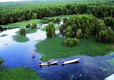 Photos U Minh Ha Nature Reserve 2