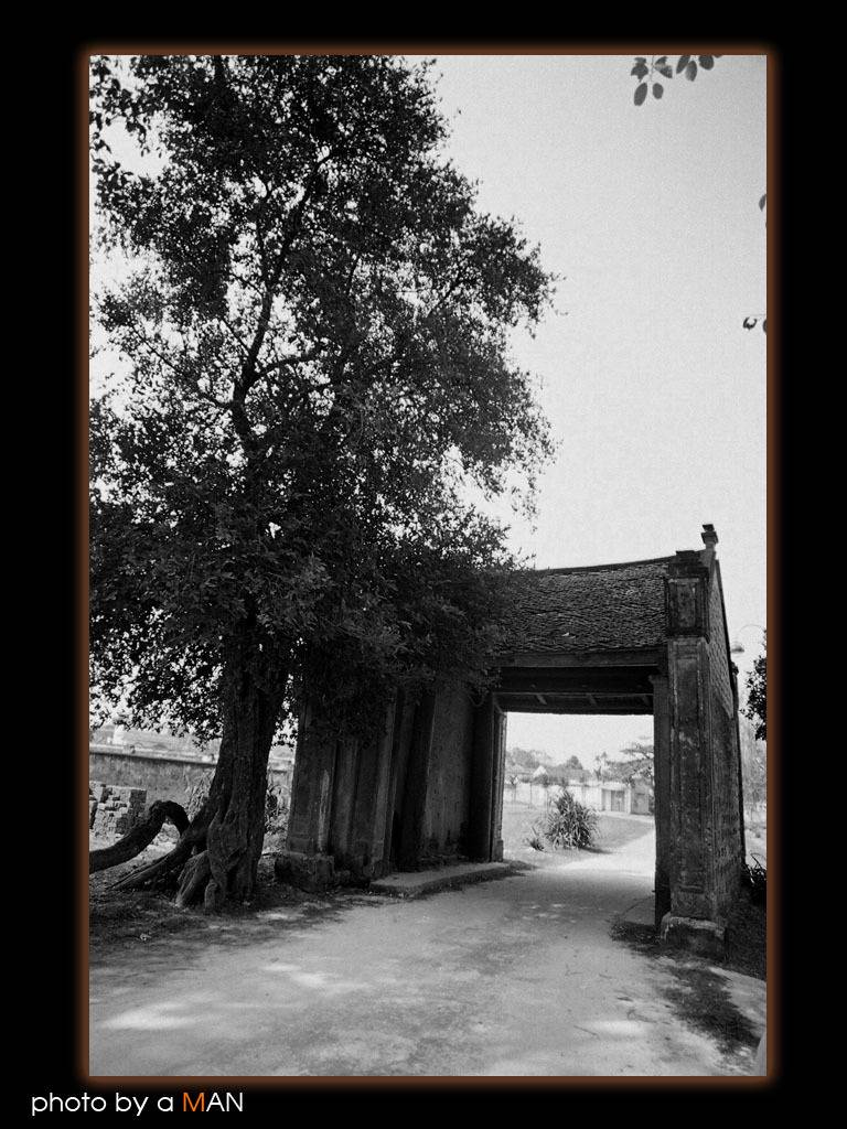 Photo of Entry:  Antique houses shine in Duong Lam