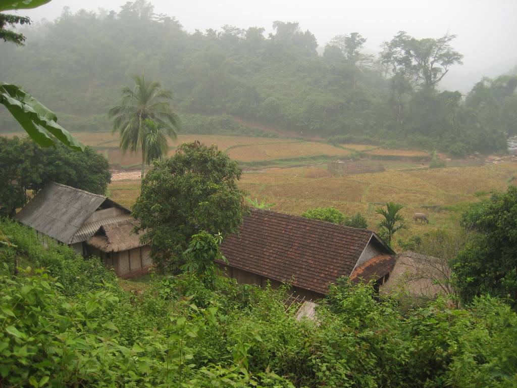 Photo of Entry:  Trek Mai Chau - The heart of a beautiful valley