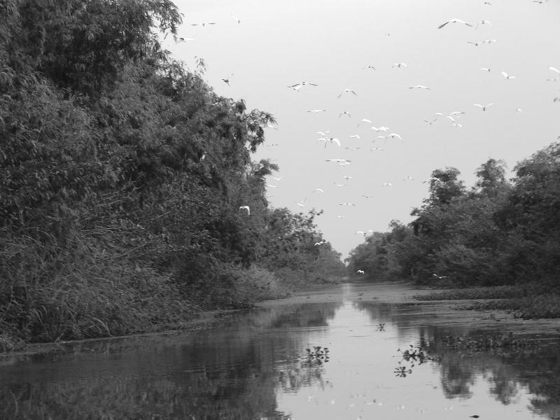 Photos Tan Long Stork Garden 1