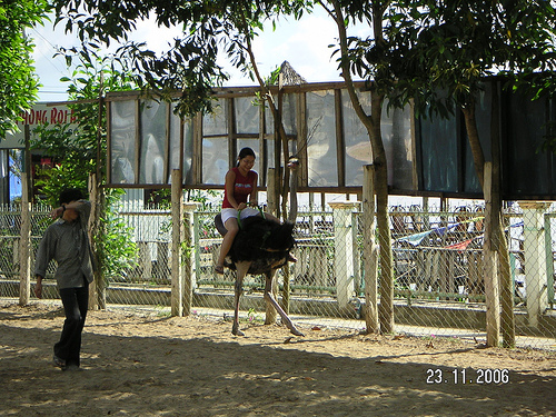 Photos Vinh Sang Resort 1