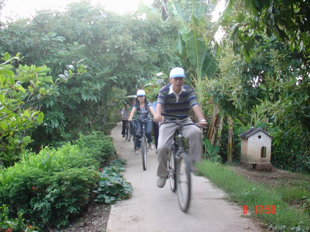 Photos Cu lao An Binh Island 2 - Cu lao An Binh Island