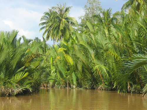 Photos Cu lao Thoi Son Island 2 - Cu lao Thoi Son Island