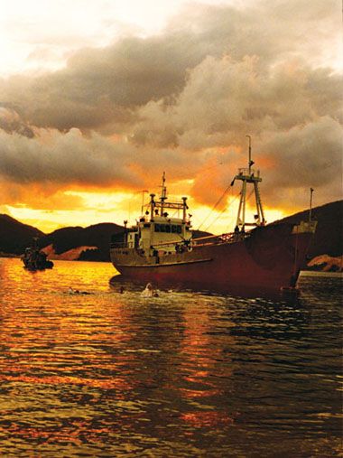 Photos Vung Ro Bay 1
