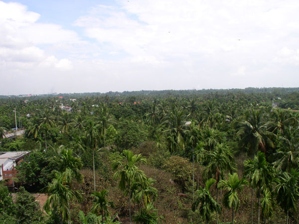 Photos Lai Thieu Orchard 2