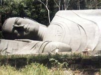 Photos Linh Son Truong Tho Pagoda 4