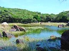 Photos Nui Chua National Park 1