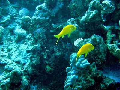 Photos Vinh Hy Bay 4