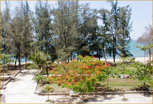 Photos Ninh Chu Beach 2