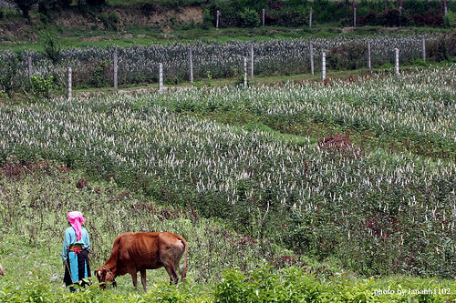 Photos Pho Bang Valley 9 - Pho Bang Valley